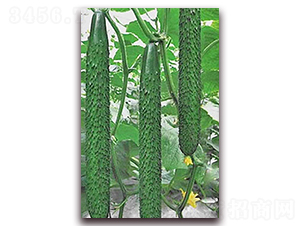 1608-�S�ϷN��-���_(d��)