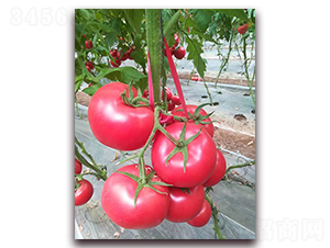 ����-��TY���ѷN��-���_