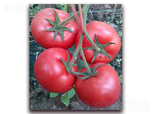 �ۼ���-��TY���ѷN��-���_