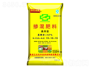 �������19-19-19-���ʾ�-�����r