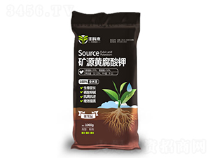 �VԴ�S�����-�S�Ɓ�-������