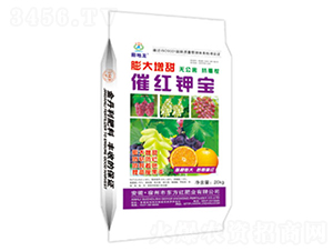 �������߼t⛌�-�����-�|���t