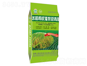 ˮ����边��{�����-�|���t