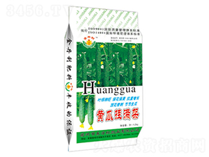 �S�ϒ�M��-�|���t