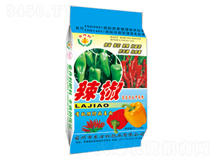 �����_ʩ��-�|���t