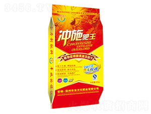 �_ʩ����-�|���t