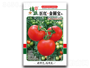 �޼t���A��-���ѷN��-�d�߷N�I(y��)