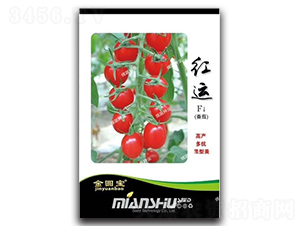 �t�\(y��n)-���ѷN��-�d�߷N�I(y��)