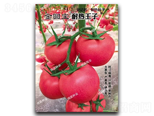 �͟�����-���ѷN��-�d�߷N�I(y��)