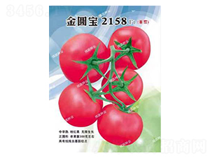 ���A��2158-���ѷN��-�d�߷N�I(y��)