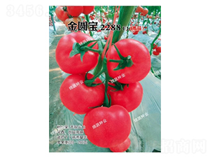 ���A��2288-���ѷN��-�d�߷N�I(y��)