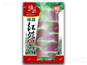 �d�߼t�F-�n�S�N��-�d�߷N�I(y��)