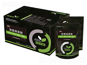 ̼ø������-�SȽ