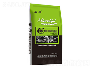 ̼ø����΢�������-�SȽ