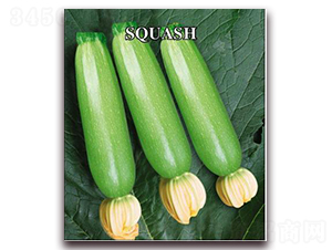 �Rʢ-�����J�N��-����r(n��ng)�I(y��)