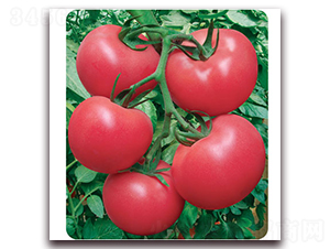 ���188-���ѷN��-����r(n��ng)�I(y��)