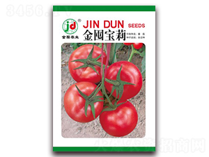 ��ڌ���-���ѷN��-����r�I(y��)