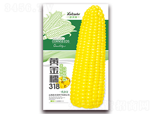 �S��Ŵ318-��Ŵ���׷N��-���G