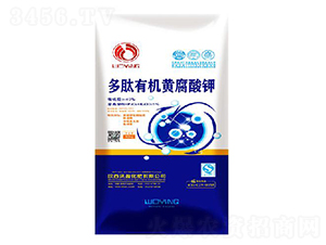 �����ЙC(j��)�S�����-��ӯ����