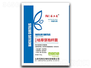 �ݲ�ѿ�ߗU��-���ϻ�-��������