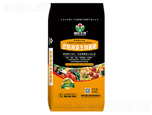 ���ɺ����������-���