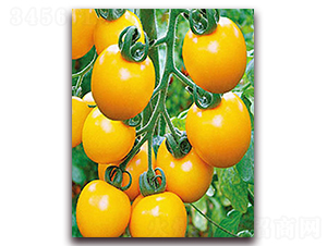 �S�_��-����С���t���N��-���_(d��)