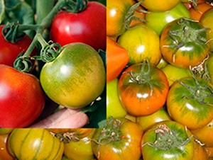 ���_(d��)��ݮ���ѷN��-���_(d��)