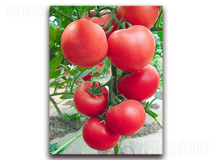 ��Ⱥ-�۹����ѷN��-���_(d��)