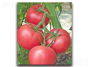 �ҵ�-�۹����ѷN��-���_(d��)