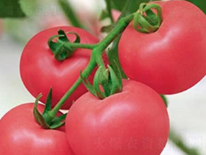 ����-�۹����ѷN��-���_(d��)