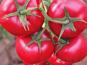 ����8̖(h��o)-�۹����ѷN��-���_(d��)