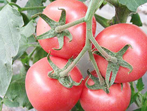 ����-�۹����ѷN��-���_(d��)