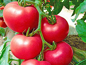 ����-�۹����ѷN��-���_