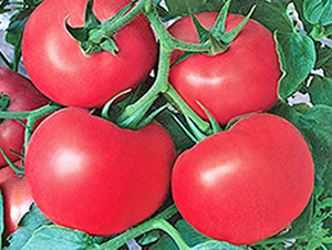 ����-�۹����ѷN��-���_(d��)