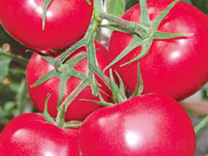 ������̖(h��o)-�۹����ѷN��-���_(d��)