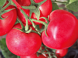 �W����-�۹����ѷN��-���_(d��)