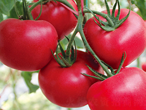 ���Ķ�̖(h��o)-�۹����ѷN��-���_(d��)