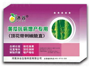 �S�Ͽ������a�����ײ�-�������