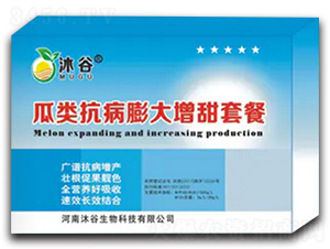 �������������ײ�-�������