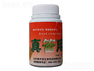 �����-ʩ�̌�