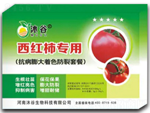 ���t�����ÿ��������ɫ�����ײ�-�������