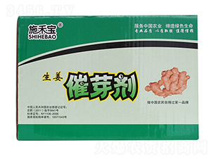 ������ѿ�����䣩-ʩ�̌�