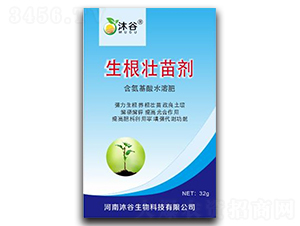 �������焩-�������