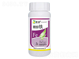 �Ǵ��F-�������