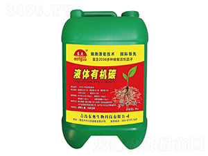 Һ�w�ЙC̼-�|�W����