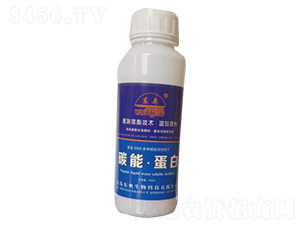 ̼�ܡ������~���-�|�W����