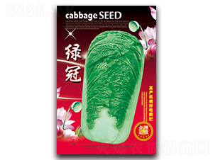 �G��-�ײ˷N��-���ǷN�I(y��)