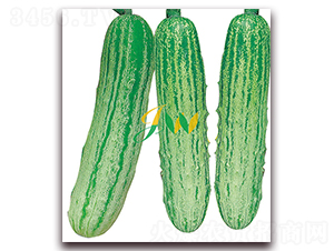 ��Ʒ����S��-�S�ϷN��-�I(y��ng)�ھ���