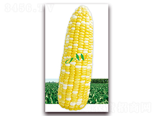 ������450��-�rʳ���׷N��-�I(y��ng)�ھ���