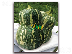 ����-�ϹϷN��-�I(y��ng)�ھ���